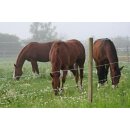 Premium Horse Wire 250m ■