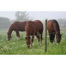 Premium Horse Wire 250m ■