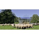 Patura Viereckraufe für Schafe - zzgl. Fracht mit Dach