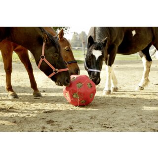 AKTION HeuBoy - Heuball - Futterspielball - Spielball für Pferde/Schafe/Ziegen