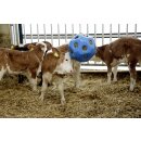 AKTION HeuBoy - Heuball - Futterspielball - Spielball für Pferde/Schafe/Ziegen blau