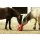 AKTION HeuBoy - Heuball - Futterspielball - Spielball für Pferde/Schafe/Ziegen rot