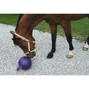 Pferdespielball - Minzgeschmack (lila)