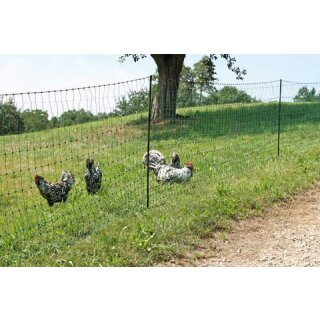 PoultryNet grün