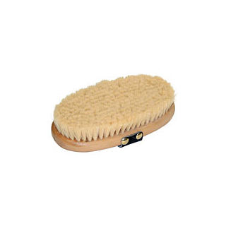 Pferdekardätsche Brush & Co
