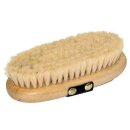 Pferdekardätsche Brush & Co