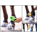 HAAS Kombikardätsche