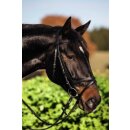 Trensenzaum Standard - Farbe schwarz, Größe Pony