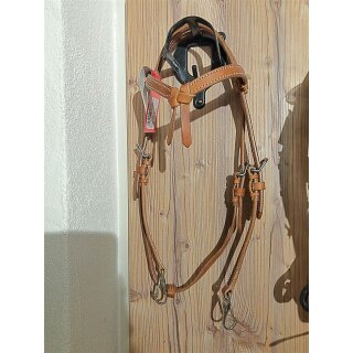Trainer´s Headstall
