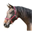 Halfter "Mustang" rot/schwarz Größe 1 Pony (P2)