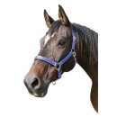 Halfter "Mustang" royalblau/schwarz Größe 3 Warmblut (Full)