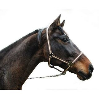 Halfter "Hippo" marine/hellblau Größe 3 Warmblut (Full)