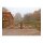 Holz-Weidetor "Sussex" - versch. Größen - 1200 x 3000 mm