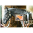 Pferde-Vibrationsplatte mit Touchscreen