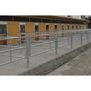 Zaun für Paddocks aus 2" starken Rohren Pfosten, 2,00m lang, zum einbetonieren
