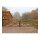 Holz-Weidetor "Sussex" - ALS DOPPELTOR - versch. Größen - inkl. Lieferung 1200 x 4000 mm