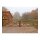 Holz-Weidetor "Sussex" - ALS DOPPELTOR - versch. Größen - 1200 x 6000 mm