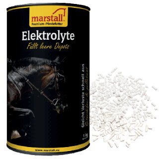 Marstall - Elektrolyte - Gleicht Verluste schnell aus - 1 Kg