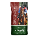 St. Hippolyt - Super Condition - Konzentrierte...