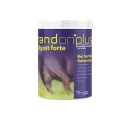 St. Hippolyt - Brandon plus Medigest Forte - Bei...