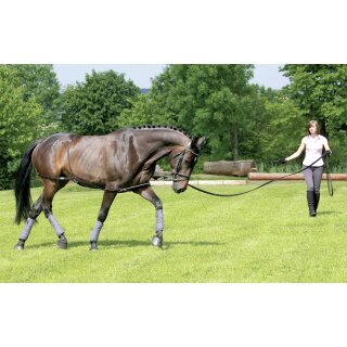 Longier- und Trainingssystem - das gezielte Bodentraining für Pferde - um Rückenmuskulatur aufzubauen