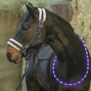 LED Halsring - Leuchthalsring für Pferde weiß