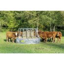 Patura Futtersparraufe für Rinder - 15 Fressplätze