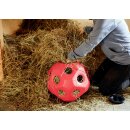 AKTION HeuBoy - Heuball - Futterspielball - Spielball für Pferde/Schafe/Ziegen pink