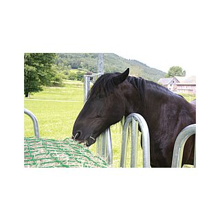 Patura Futtersparnetz 4,50 m x 4,50m