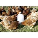 Futterautomat für Hühner / Geflügel - Lebensmittelecht - Kunststoff