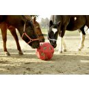AKTION HeuBoy - Heuball - Futterspielball - Spielball für Pferde/Schafe/Ziegen ABHOLPREIS