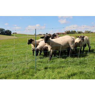 AKO TitanNet Premium Vario - Schafnetz 50m, 108cm hoch, mit Doppelspitze