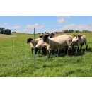AKO TitanNet Premium Vario - Schafnetz 50m, 108cm hoch,...