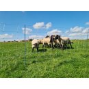 AKO TitanNet Premium Vario - Schafnetz 50m, 108cm hoch, mit Doppelspitze