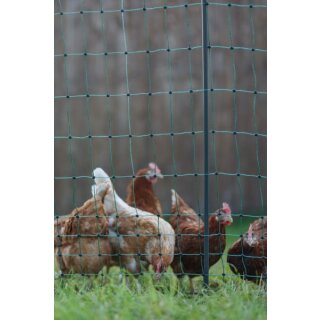 AKO PoultryNet Premium - Hühnernetz - Hühnerzaun - elektrifizierbar