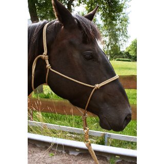 Brockamp Knotenhalfter - Horse-Man-Halfter - Bodenarbeit - Polyester Ø 6mm - Profi-Trainierqualität braun VB