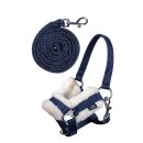 Halfter und Strick - Hobby Horsing - für Hobby Horse
