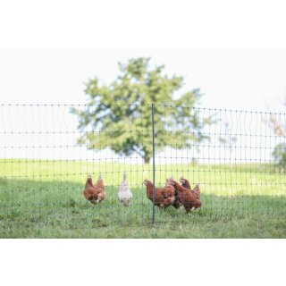 PoultryNet Premium, Geflügelnetz, Hühnerzaun, Hühnernetz, elektrifizierbar - grün, 1,22m hoch, 50m lang