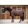 Covalliero RugBe 100 - Winterdecke - Pferdedecke - Oak Brown Rückenlänge 135cm, Gesamtlänge 185cm