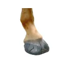 Klebeeisen MIT GESCHLOSSENER SOHLE - Klebelaschen System - Hufschutz - Klebebeschlag - Einzeln und Paarweise