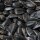 Sonnenblumenkerne schwarz - 20 Kg Sack
