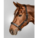 Waldhausen X-Line Crystal Lederhalfter schwarz/grau WB