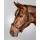Waldhausen X-Line Crystal Lederhalfter schwarz/grau WB