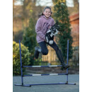 Sprungset - Sprung-Set - Hobby Horsing - Hindernis - Sprünge blau