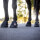 Equine Fusion Active Jogging Shoe SLIM - Hufschuh - Hufschuhe - Paarweise Gr. 12 - Paarweise
