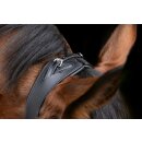 Trensenzaum Anatomic - echtes Leder - schwarz Full