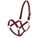 Halter Classy - Farbe Merlot - Gr. Cob
