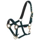 Fohlenhalfter TopLine
