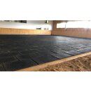 Equifarm´s ECO Reitplatzmatte- Paddockmatte -...