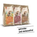 Gurbe Urpferdchens Leckerbissen - LEINKUCHEN - Leckerli -...